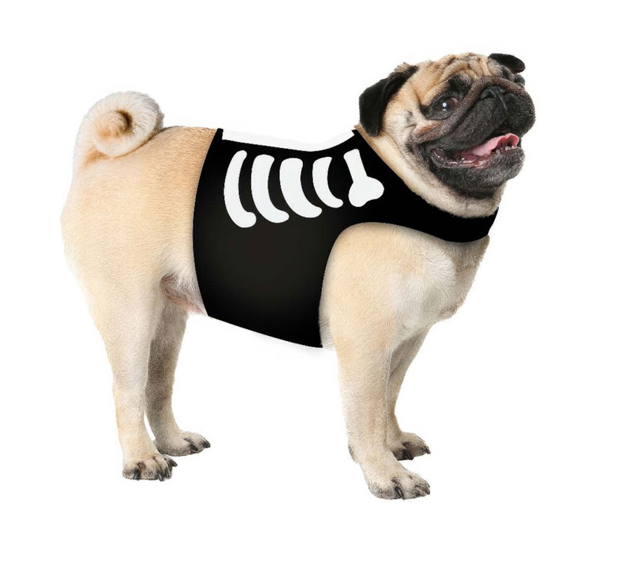 Fantasia Mascote Esqueleto-B Fantasia Mascote Esqueleto-B