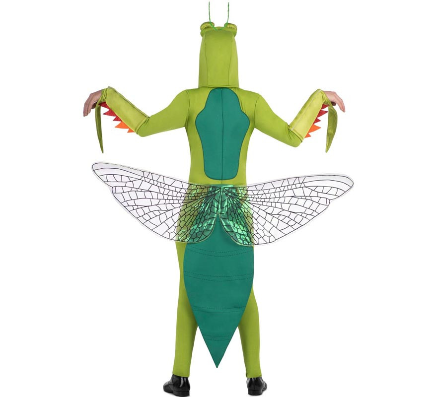 Adult Green Mantis Costume with Hood and Wings-B