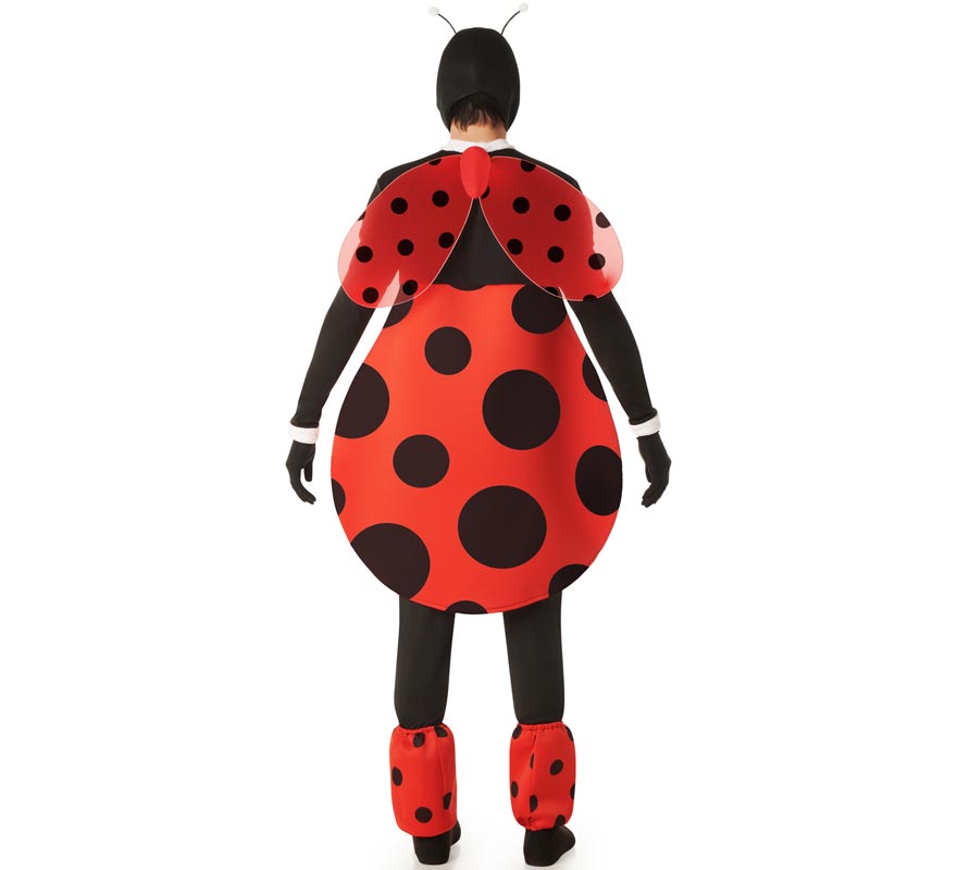 Chubby Ladybug Costume with Wings for Men-B