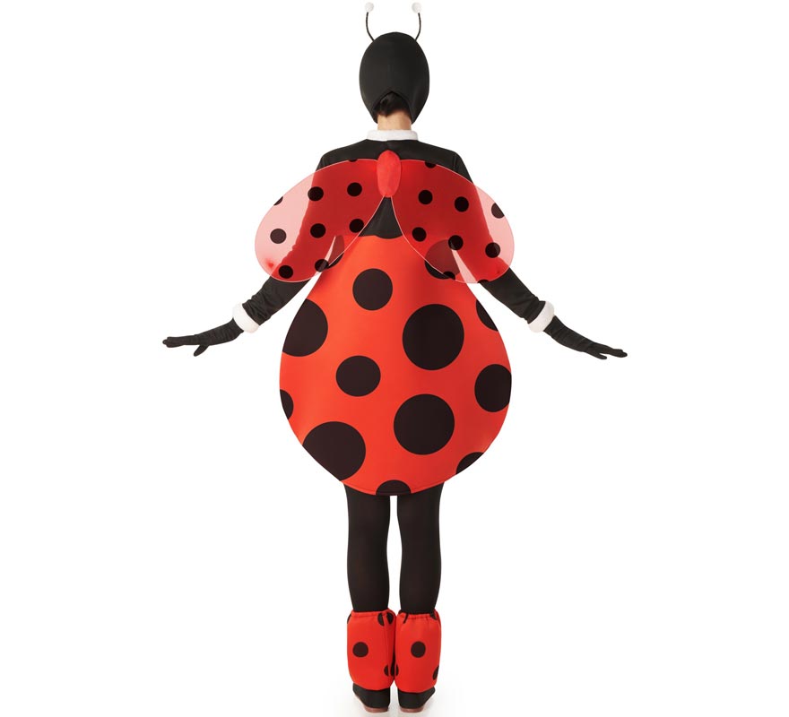 Fato de Joaninha Gordinha com Asas para Mulheres-B