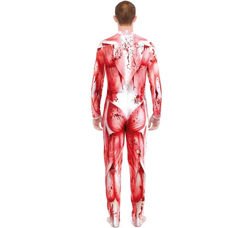 Costume da Modello Anatomico con Muscoli per Uomo-B