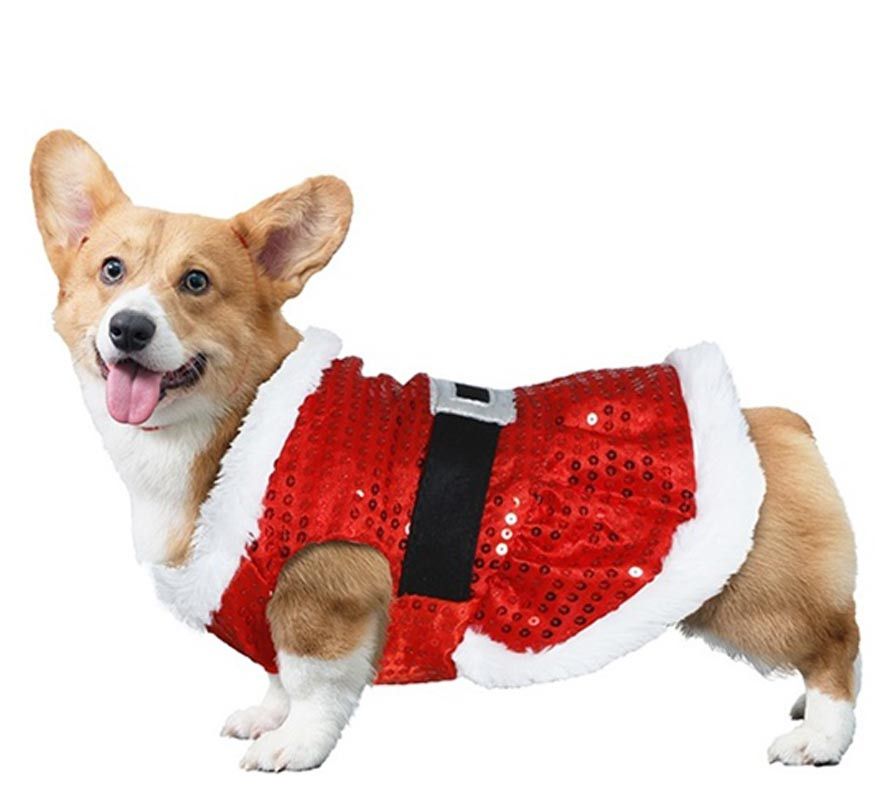 Disfraz de Papá Noel con lentejuelas para perro-B