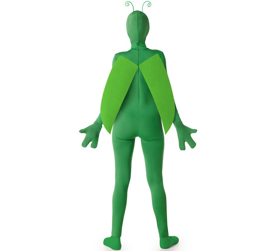 Fato de gafanhoto para mulher-B