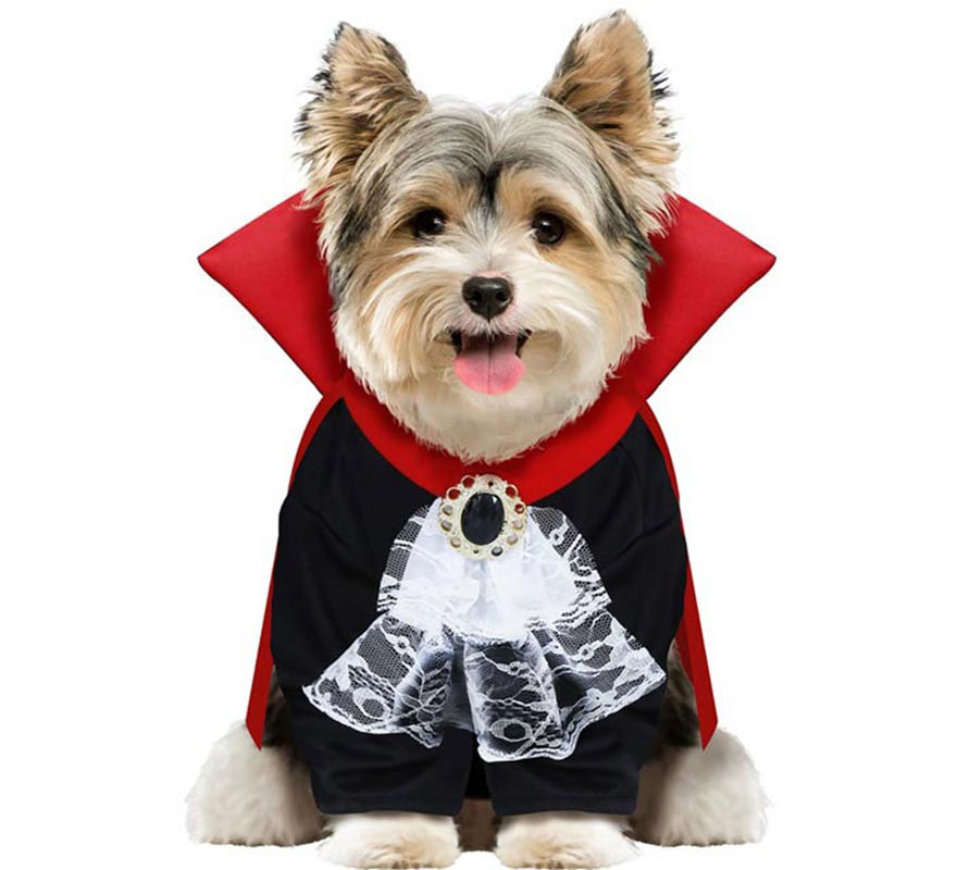 Costume da vampiro Wooferatu per cani-B