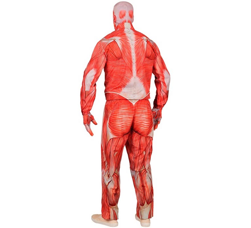 Disfraz Express de Anatómico con Músculos para hombre-B