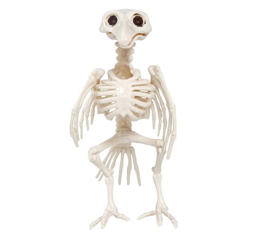 Esqueleto Cuervo de 20 cm-B