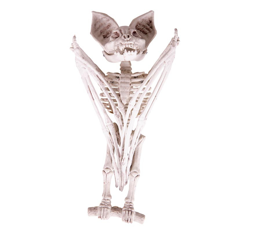 Squelette de chauve-souris 27x11x7 cm-B