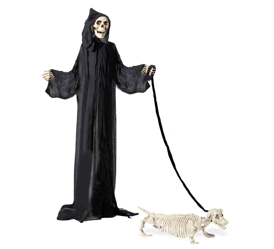 Esqueleto de Perro Salchicha con Correa de 55 cm-B