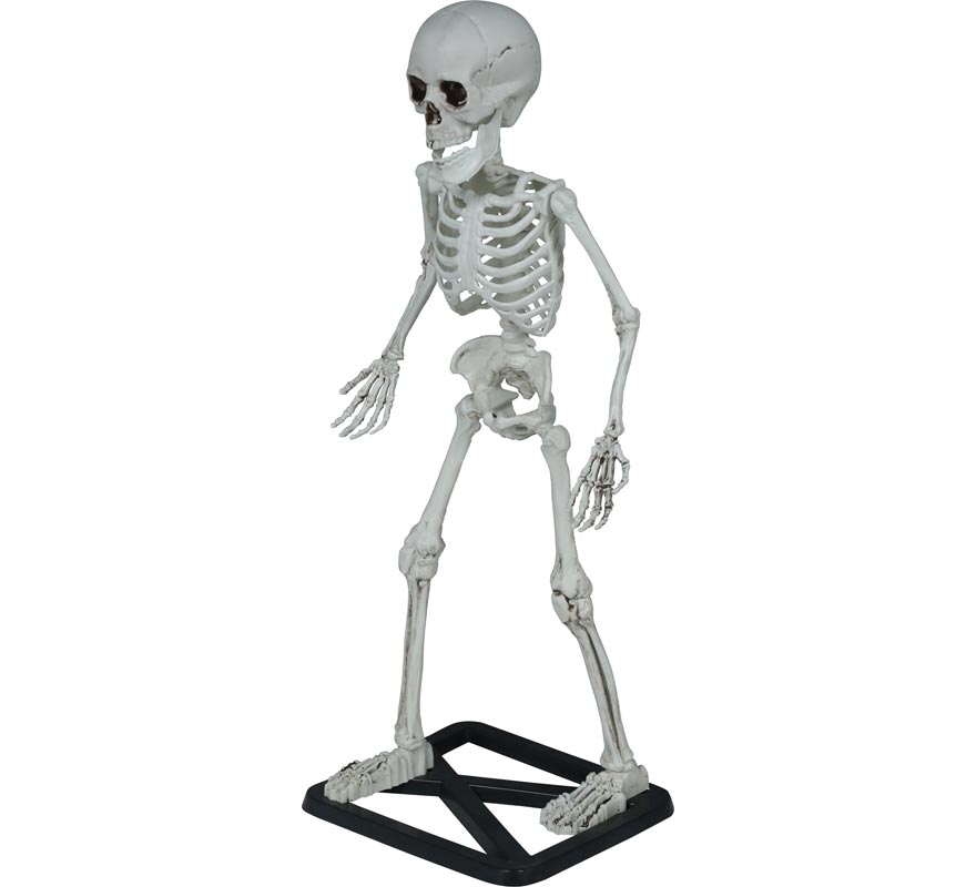 Esqueleto em pé de 55 cm-B Esqueleto em pé de 55 cm-B