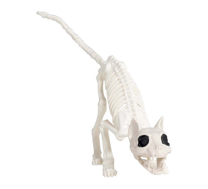 Squelette de chat 48 cm-B
