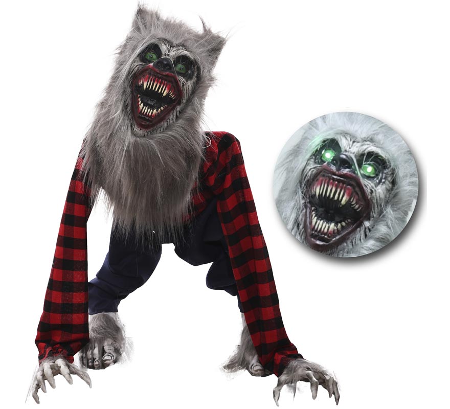 Animated Werewolf 45x50x76 cm-B