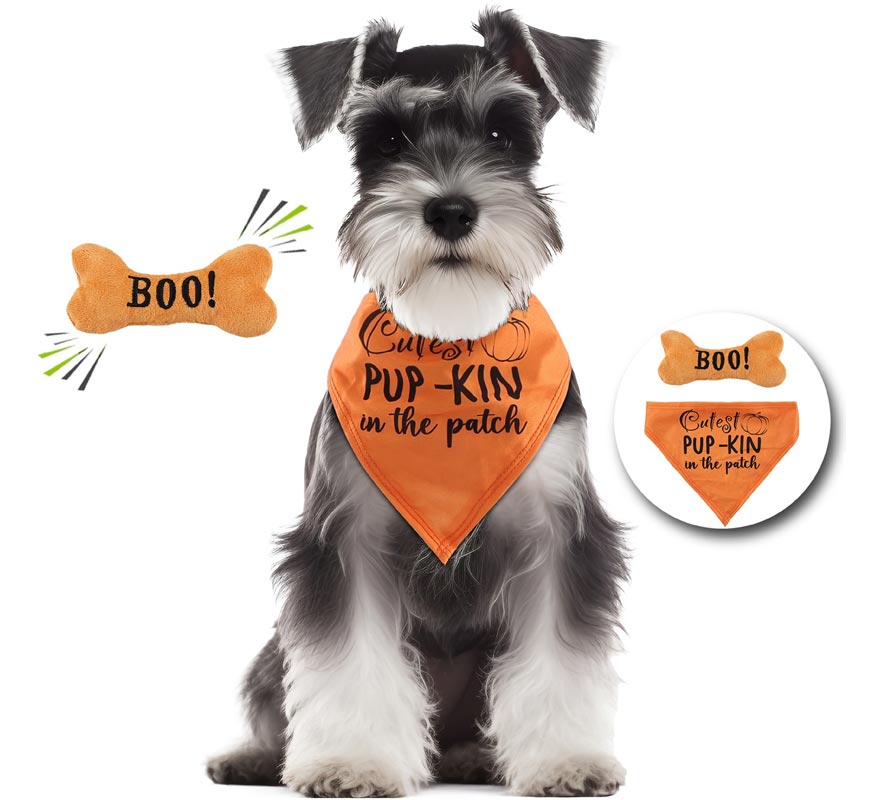 Dog Pumpkin Kit: Bandana and Bone-B