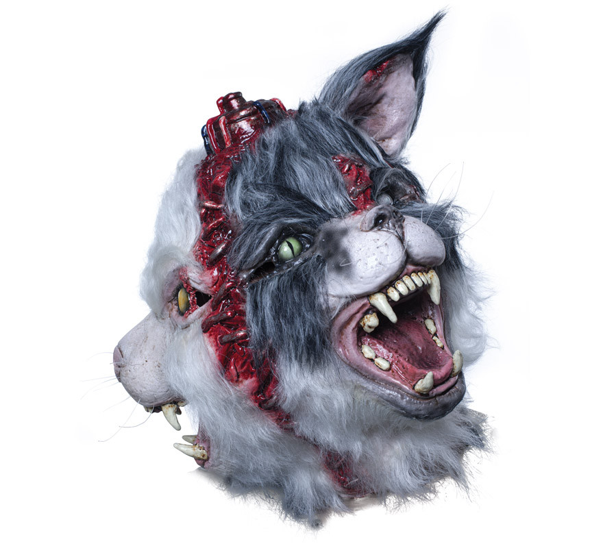 Double Cat Mask from Laboratory Experiments-B