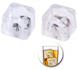 2 cubos de gelo com mosca 2 cubos de gelo com mosca
