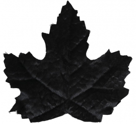 24 folhas de abóbora preta