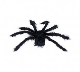50 cm black hairy spider
