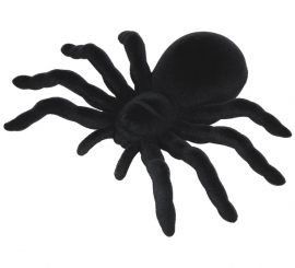 Blister 1 Spider 14 cm