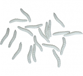 Blister de 20 minhocas elásticas 4 cm