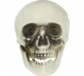 Bag of 6 Skulls of 6 cm