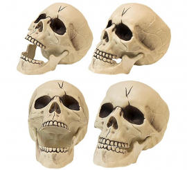 Crâne en plastique de 21 cm avec mâchoire articulée.