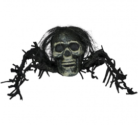 Crânio de aranha de 38 cm