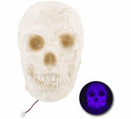 Large Skull with Light Large Skull with Light