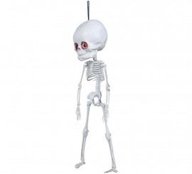 Pingente Esqueleto Cabeça Grande 40 cm Pingente Esqueleto Cabeça Grande 40 cm