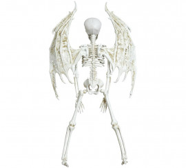 Skeleton Pendant with Wings 46 cm