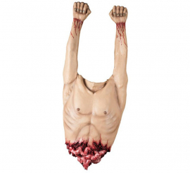 Corpo de homem mutilado para decoração e chamadas fotográficas Corpo de homem mutilado para decoração e chamadas fotográficas
