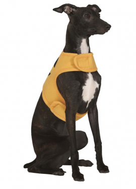 fantasia de abóbora de Halloween