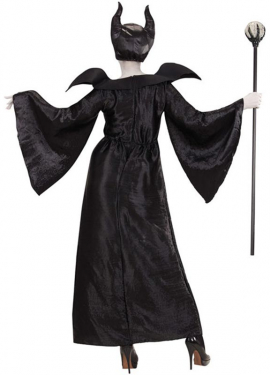 Evil Queen Costume with Hat for Women Evil Queen Costume with Hat for Women