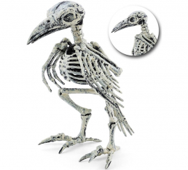 Raven Skeleton