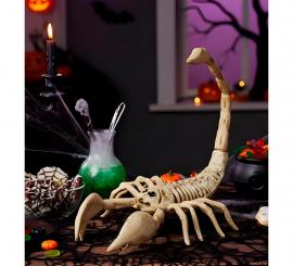 Esqueleto de Escorpión 30 cm