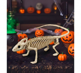 Esqueleto de Iguana 43 cm