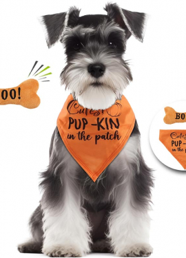 Dog Pumpkin Kit: Bandana and Bone Dog Pumpkin Kit: Bandana and Bone