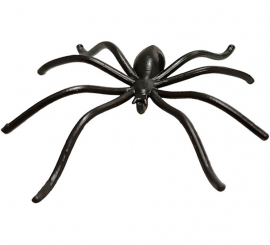 Pack of 50 Spiders