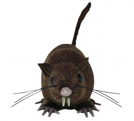 15 cm große Wanderratte 15 cm große Wanderratte