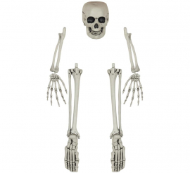 Skeleton Bones Set 5 Pieces