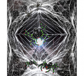 50g Spider Web with 3 Spiders