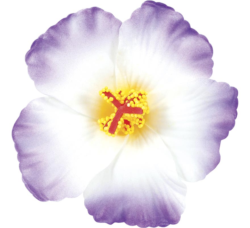 Pack de 3 Flores Hawaianas-B