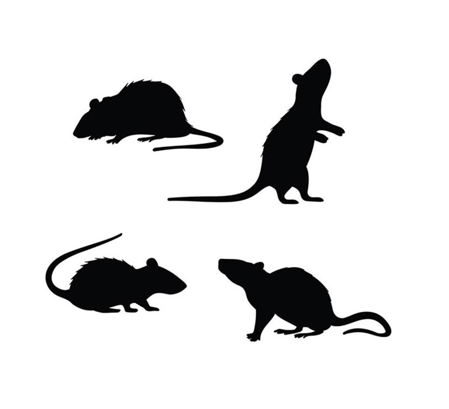 Packung mit 4 schwarzen Ratten-Silhouetten-B