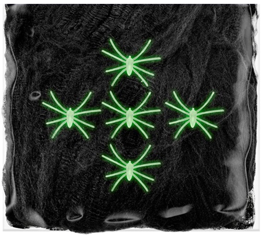 100g Teia de Aranha Preta com 5 Aranhas Fluorescentes-B