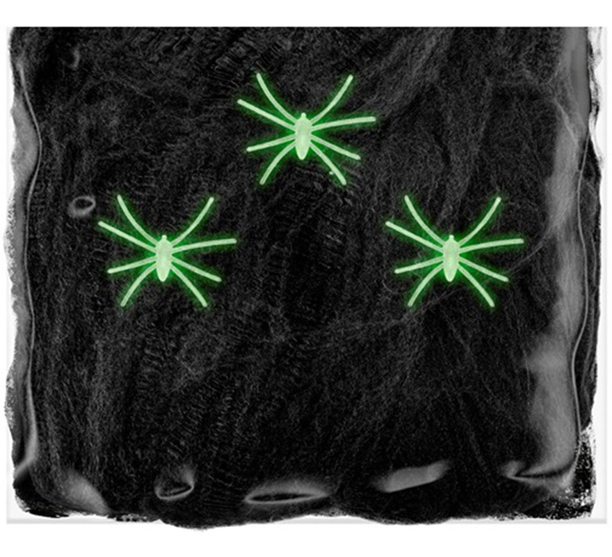 50g Black Spider Web with 3 Fluorescent Spiders-B