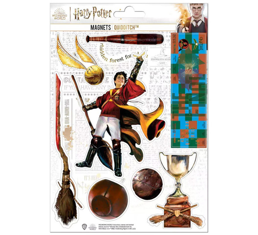 Harry Potter Quidditch Magnet Set