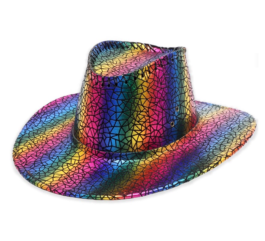 Adult Rainbow Hat