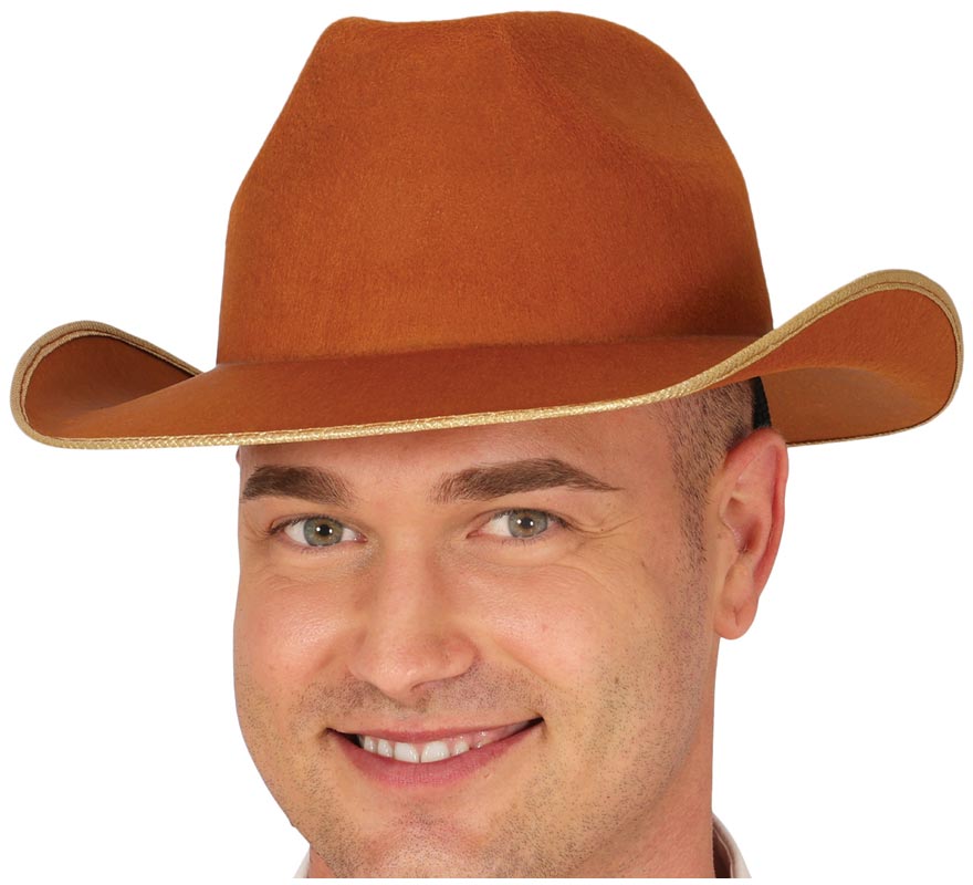 Brown felt cowboy hat