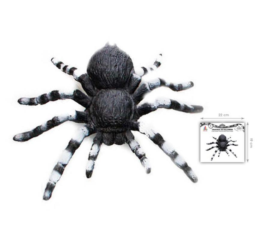 18x12 cm white-footed tarantula